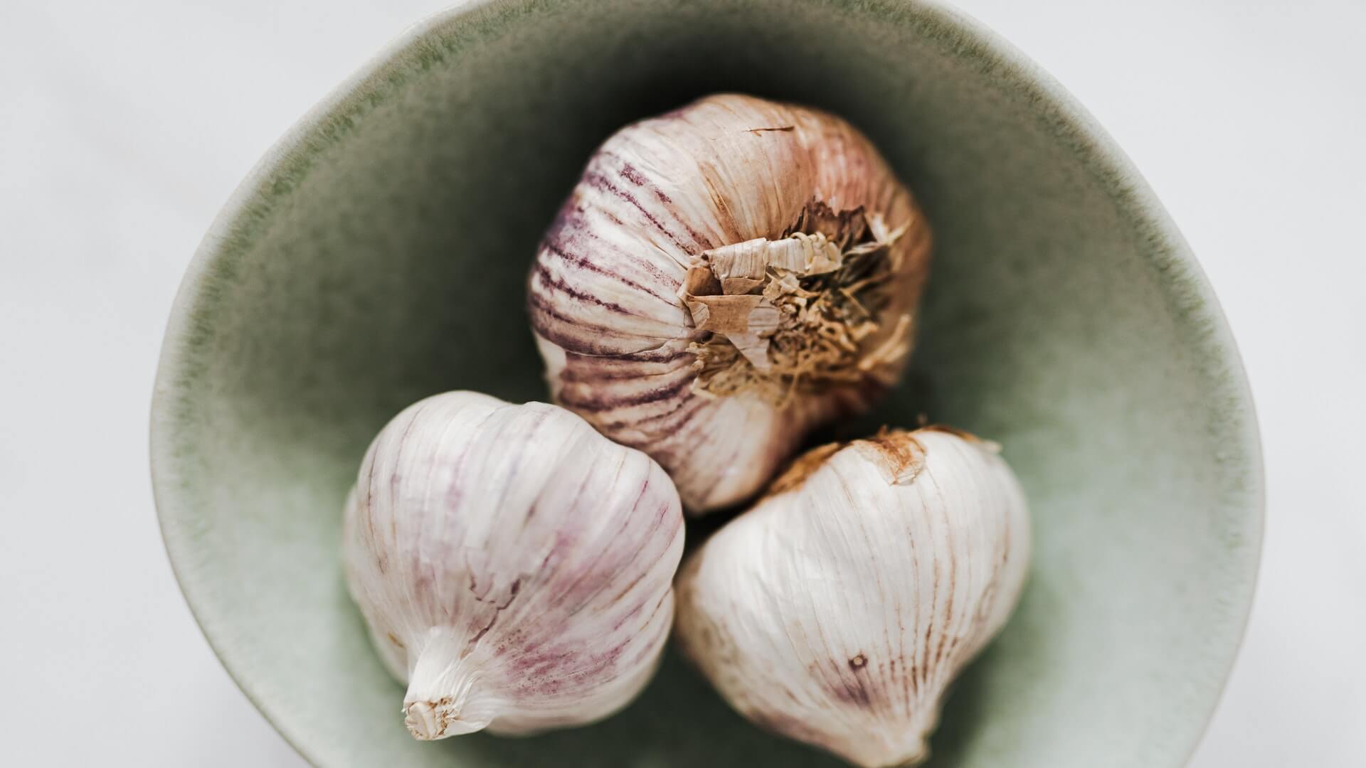 garlic