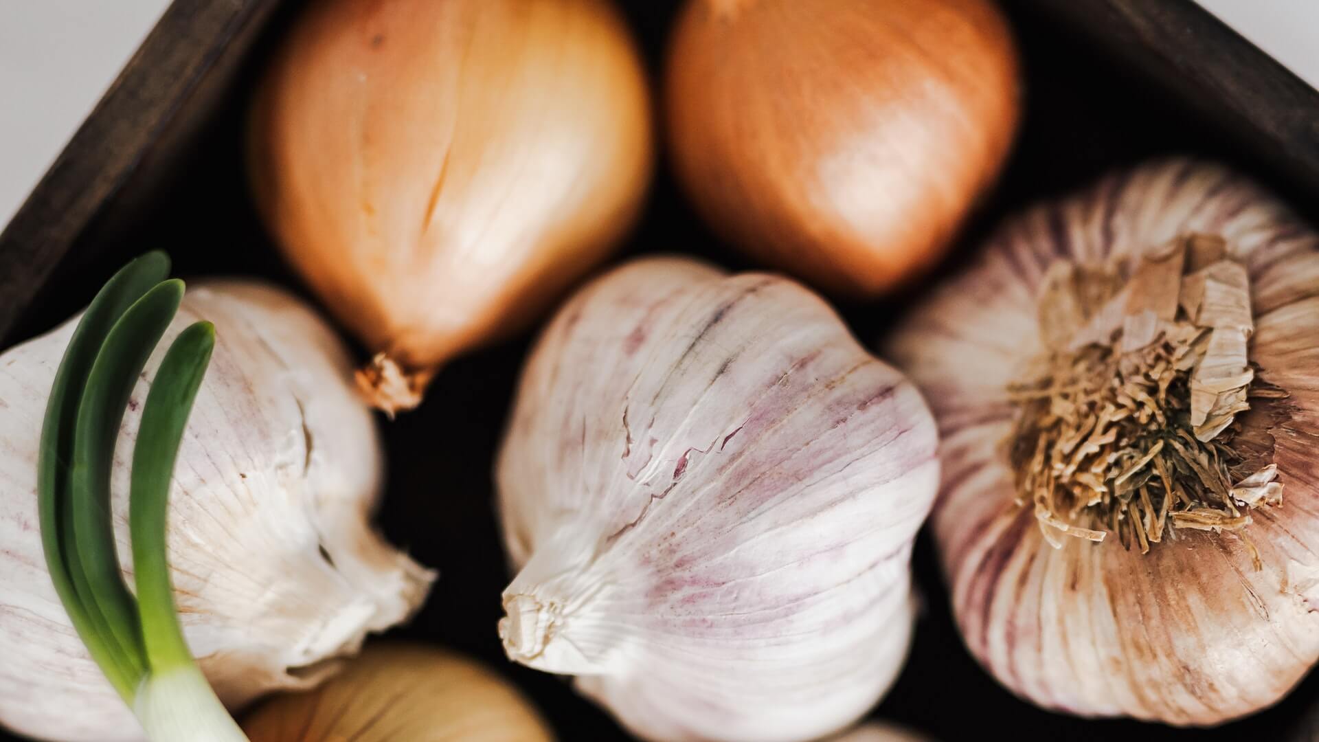 Onion