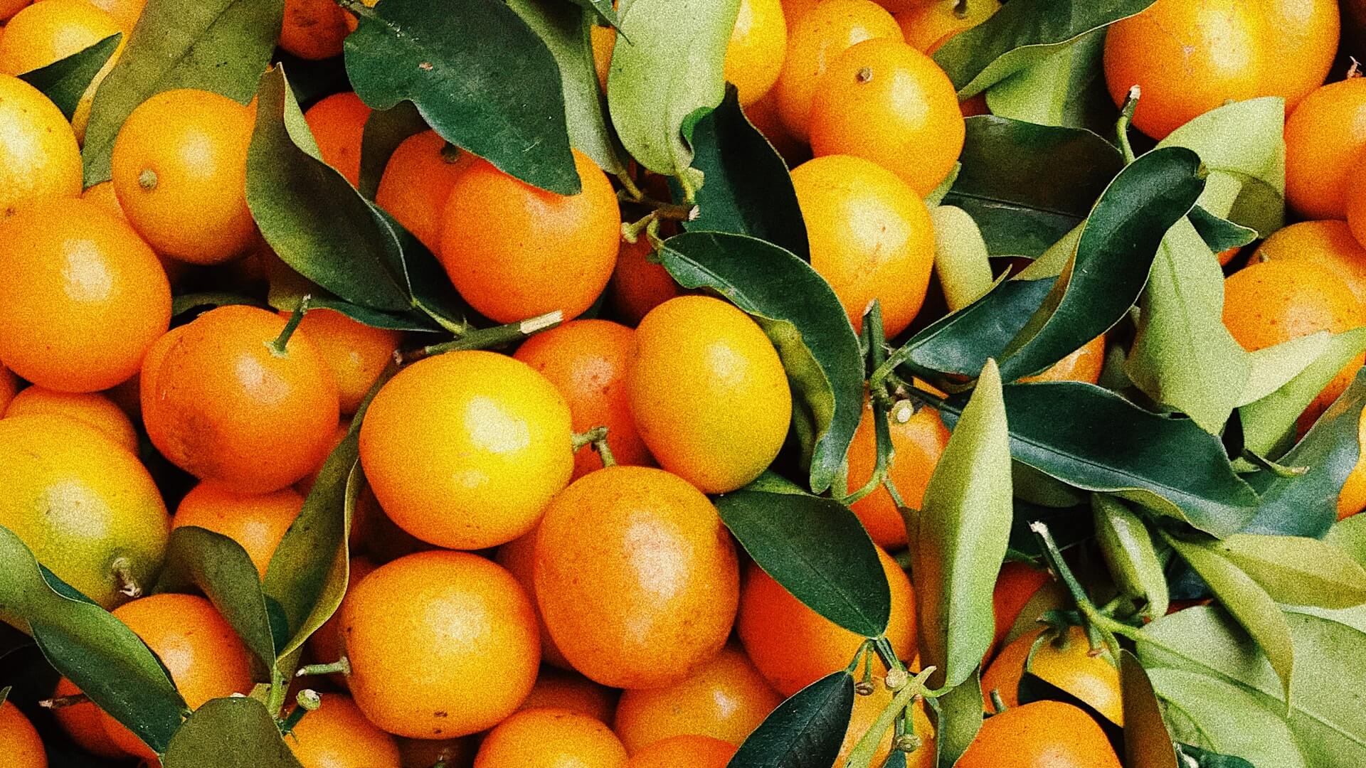 oranges